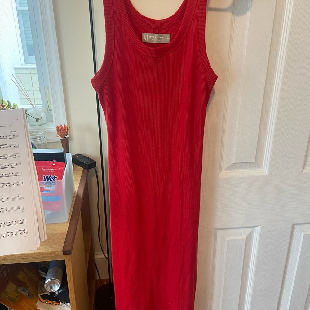 Everlane Red Sheath Midi Dress for Night Out